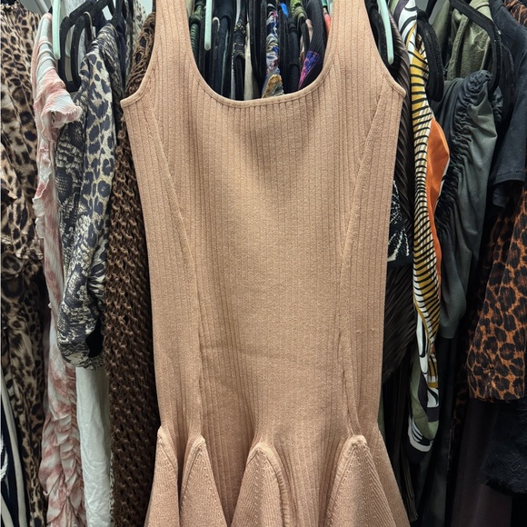 Retrofete Ribbed Mini Dress - Picture 4 of 6